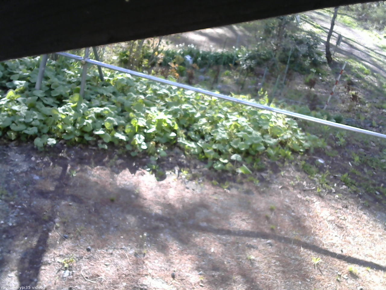 長野県菅平高原 ゆたか山荘 駐車場 2026/05/06 06:45