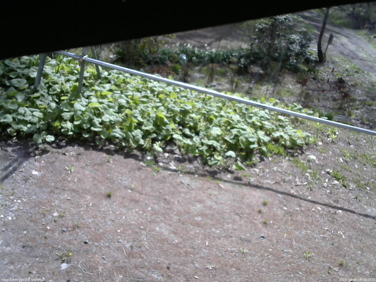 長野県菅平高原 ゆたか山荘 駐車場 2026/05/06 08:30