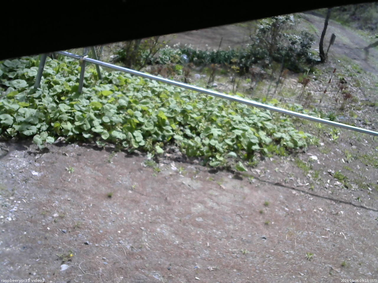長野県菅平高原 ゆたか山荘 駐車場 2026/05/06 09:15