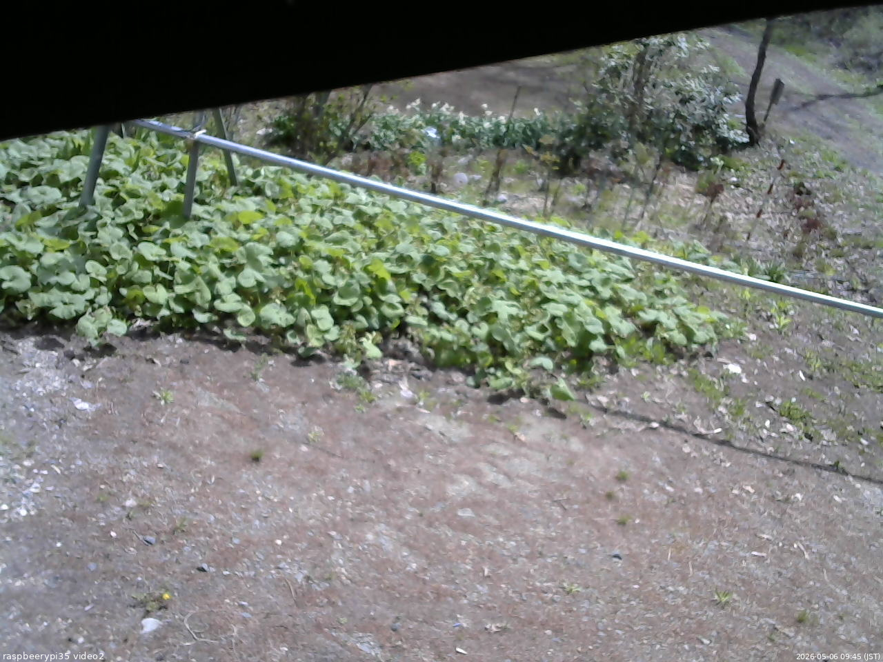 長野県菅平高原 ゆたか山荘 駐車場 2026/05/06 09:45