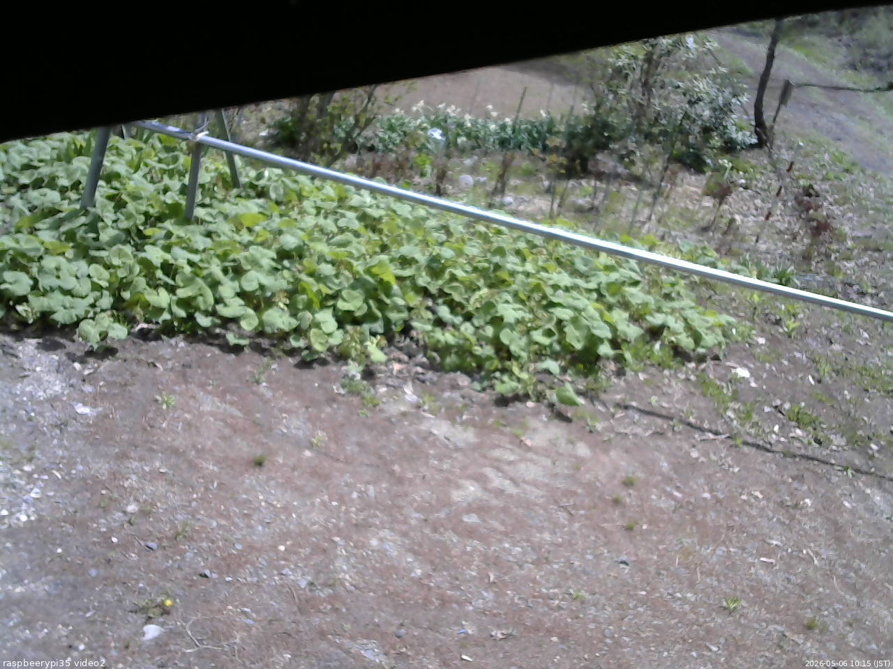 長野県菅平高原 ゆたか山荘 駐車場 2026/05/06 10:15