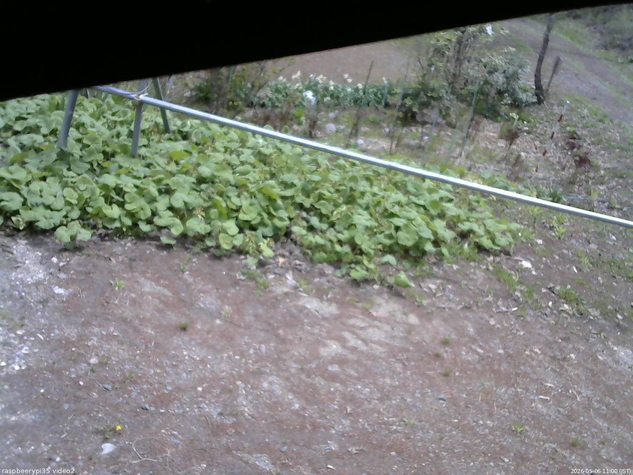 長野県菅平高原 ゆたか山荘 駐車場 2026/05/06 11:00