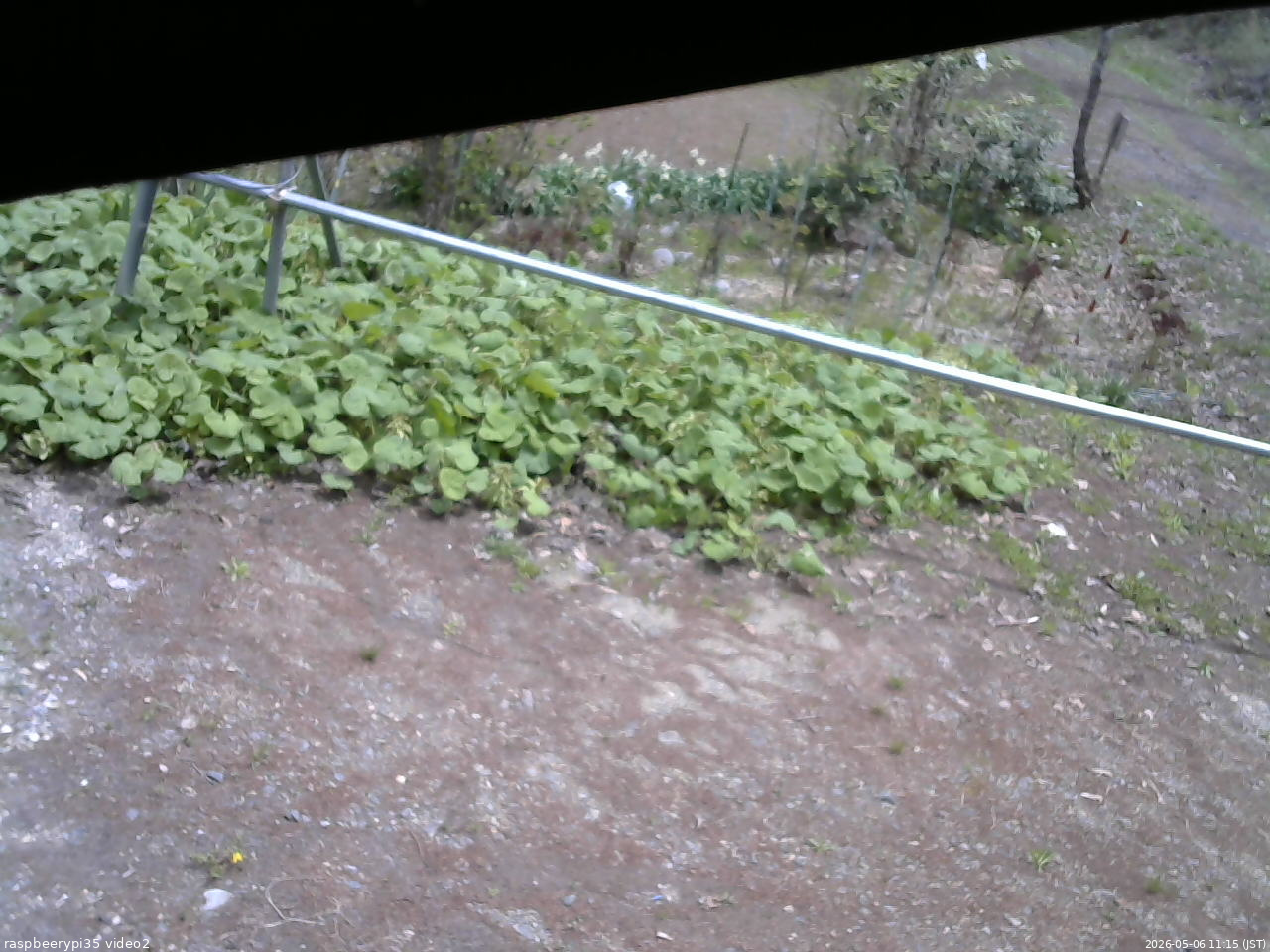 長野県菅平高原 ゆたか山荘 駐車場 2026/05/06 11:15