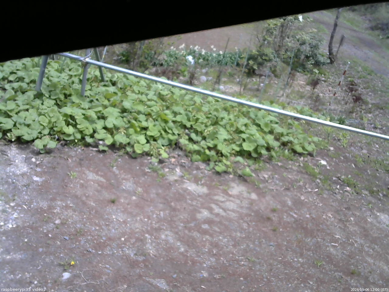 長野県菅平高原 ゆたか山荘 駐車場 2026/05/06 12:00