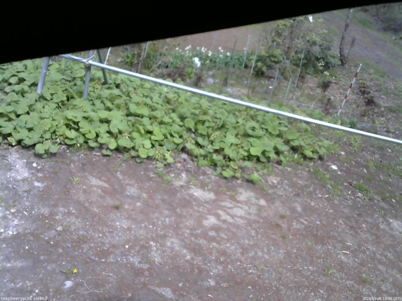 長野県菅平高原 ゆたか山荘 駐車場 2026/05/06 14:00