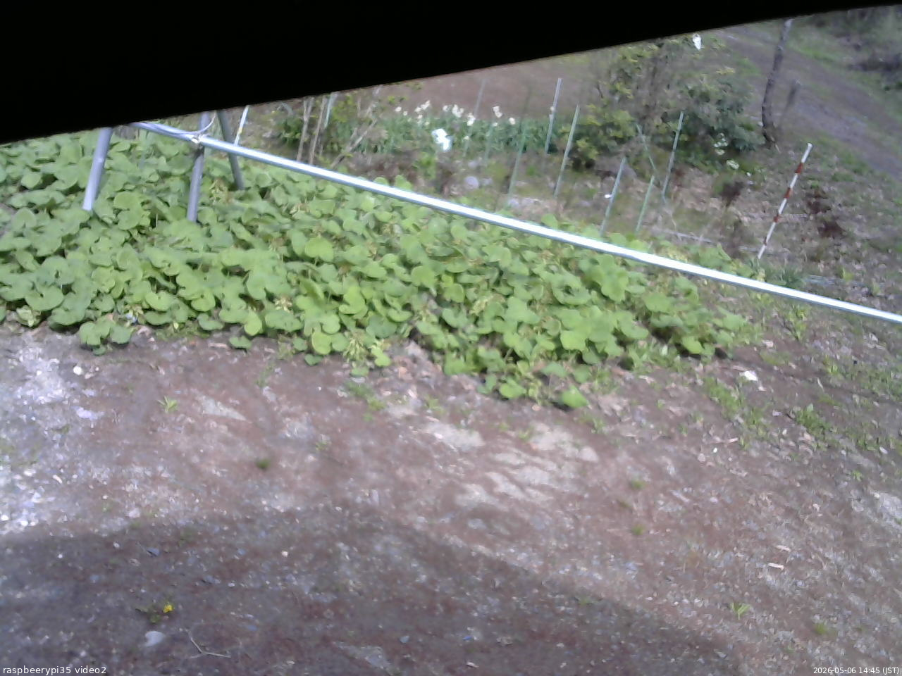 長野県菅平高原 ゆたか山荘 駐車場 2026/05/06 14:45