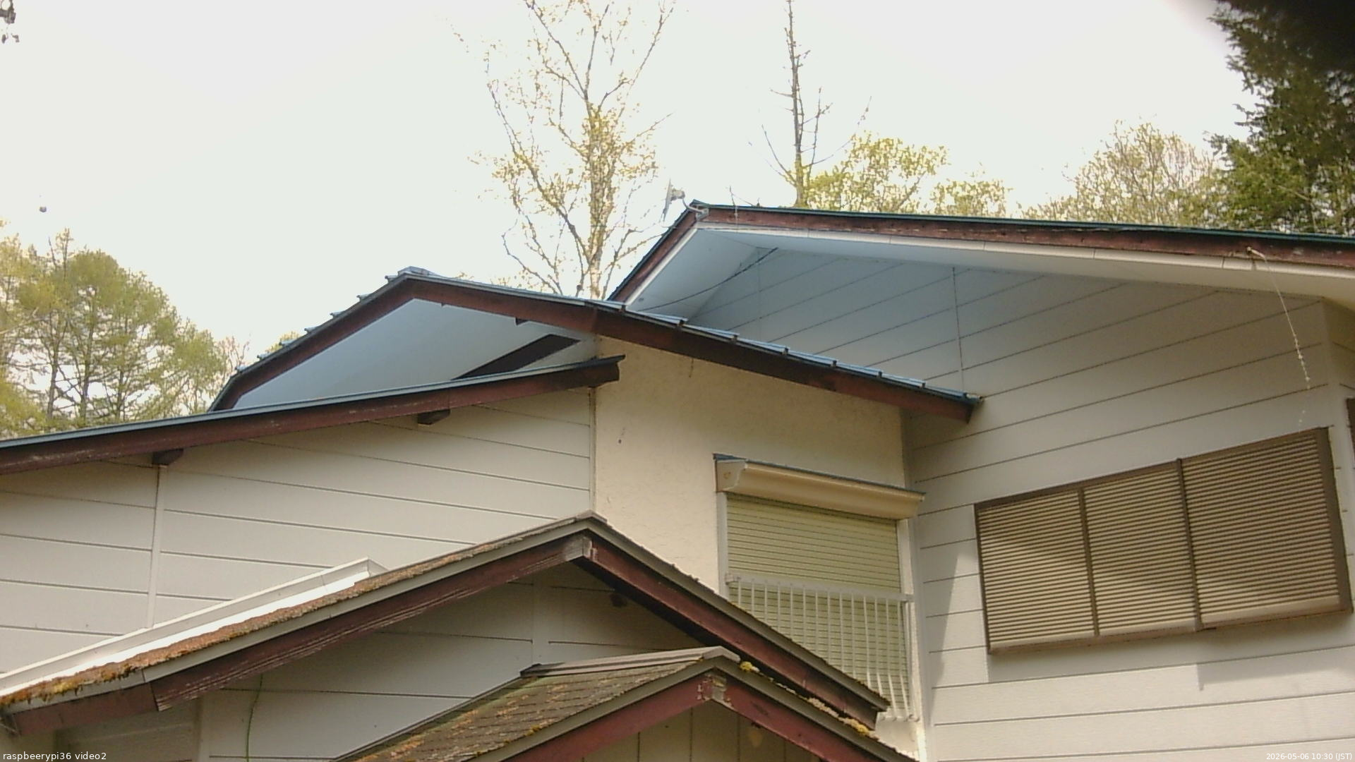 長野県菅平高原 ゆたか山荘 駐車場奥 2026/05/06 10:30