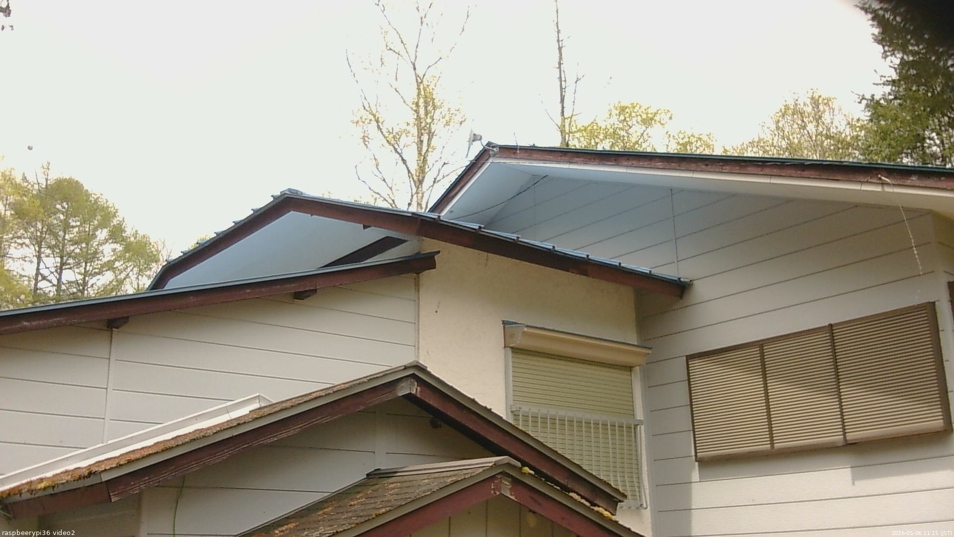 長野県菅平高原 ゆたか山荘 駐車場奥 2026/05/06 11:15