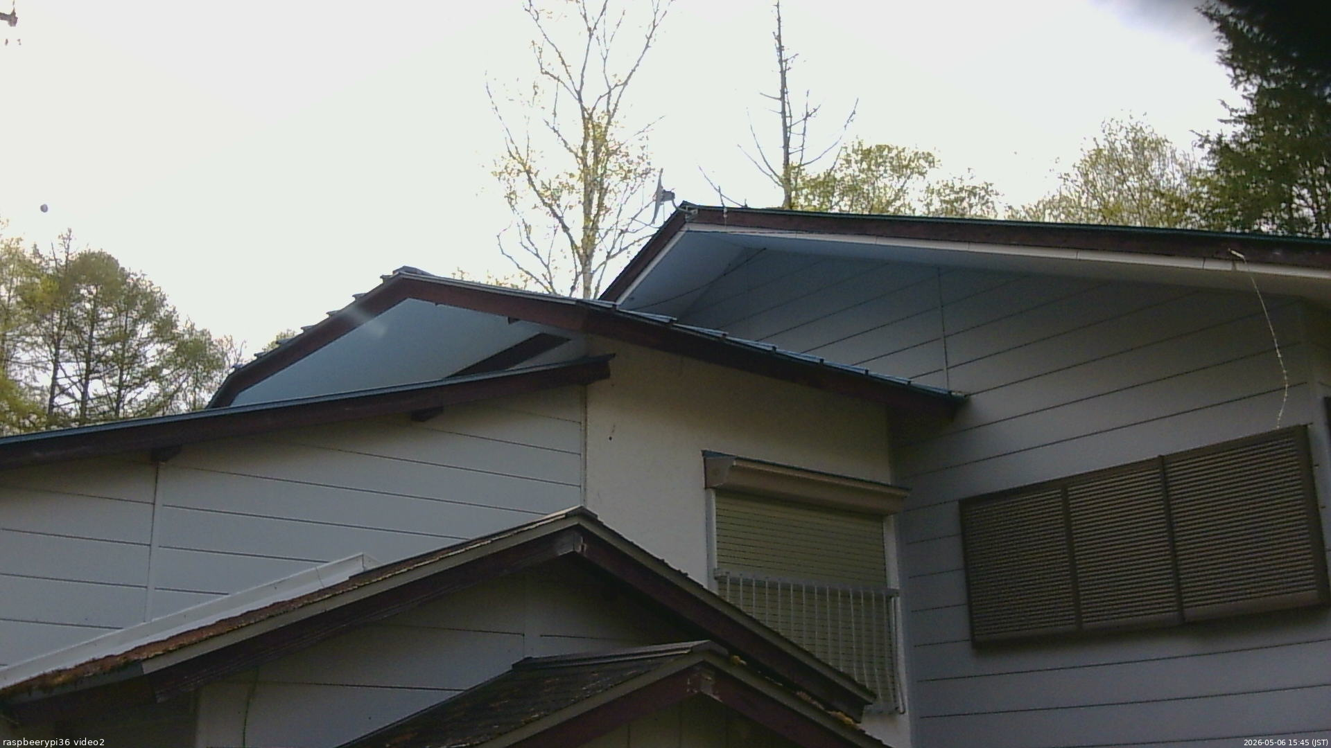長野県菅平高原 ゆたか山荘 駐車場奥 2026/05/06 15:45