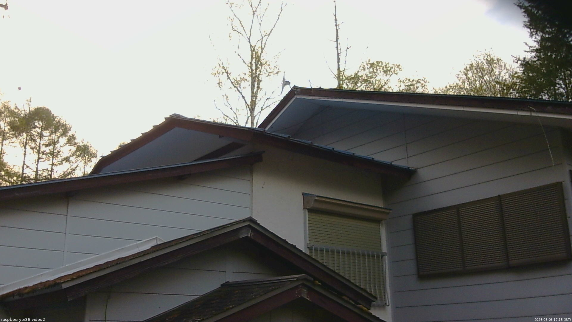 長野県菅平高原 ゆたか山荘 駐車場奥 2026/05/06 17:15