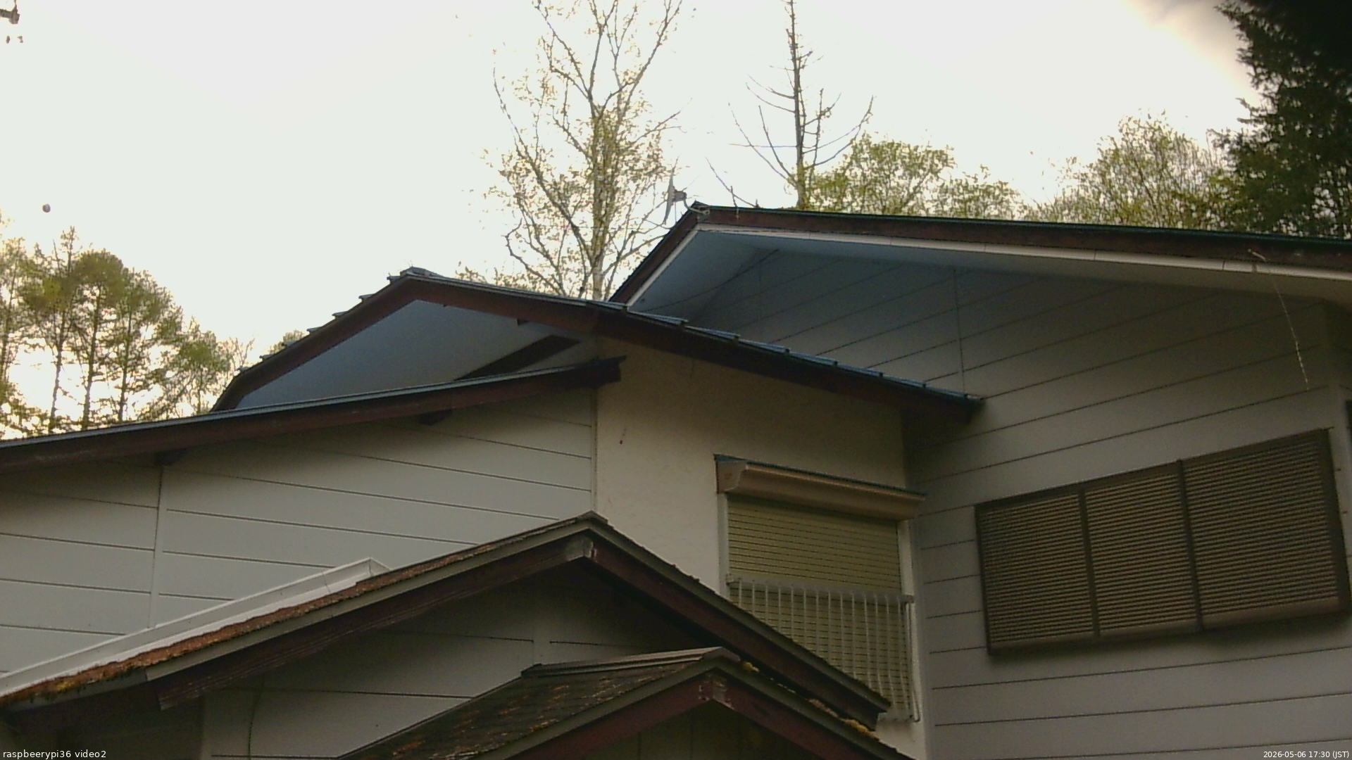 長野県菅平高原 ゆたか山荘 駐車場奥 2026/05/06 17:30