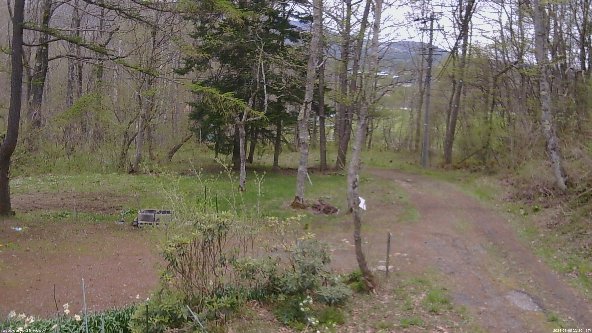 長野県菅平高原 ゆたか山荘 坂上 2026/05/06 11:30