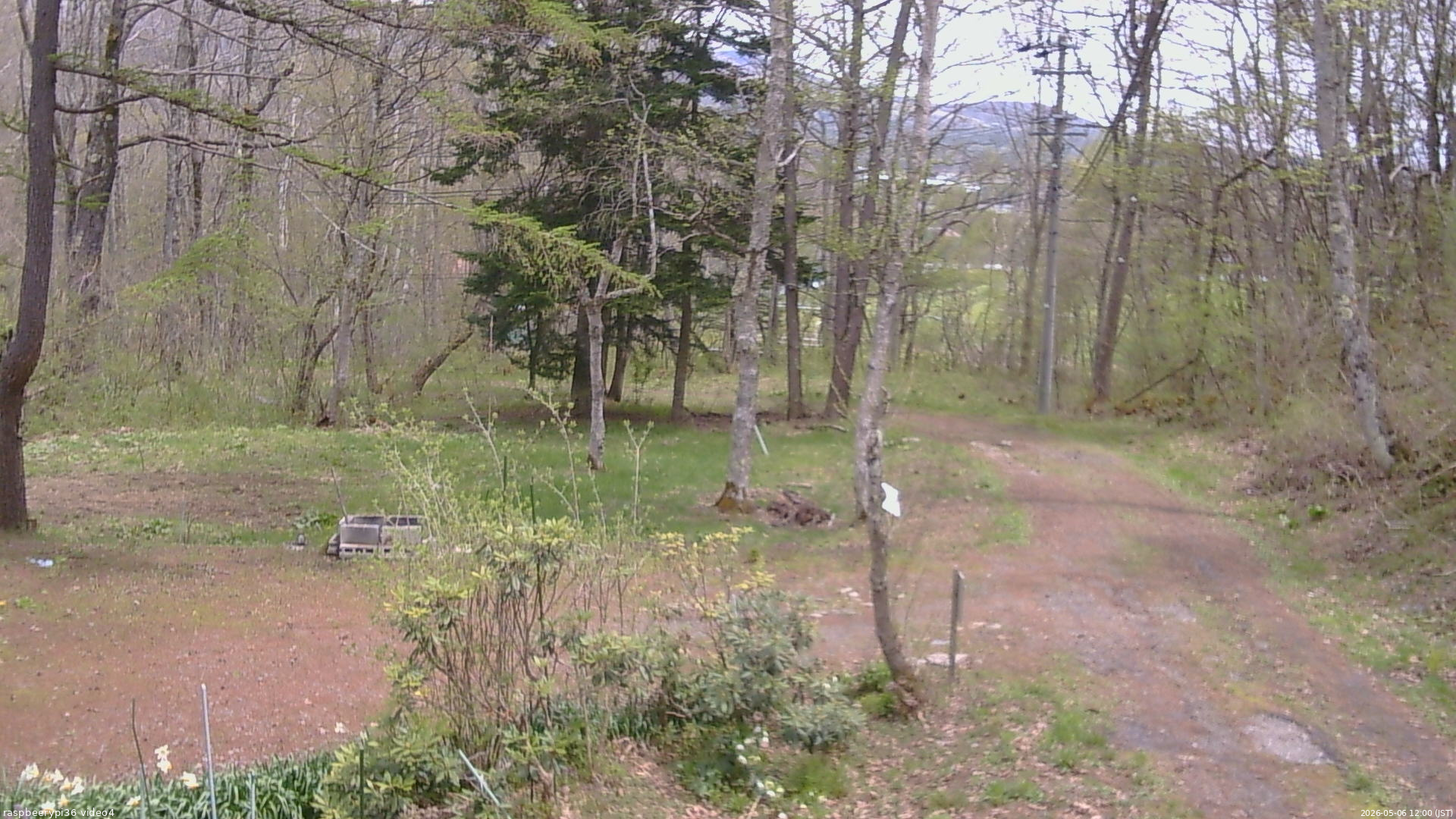 長野県菅平高原 ゆたか山荘 坂上 2026/05/06 12:00