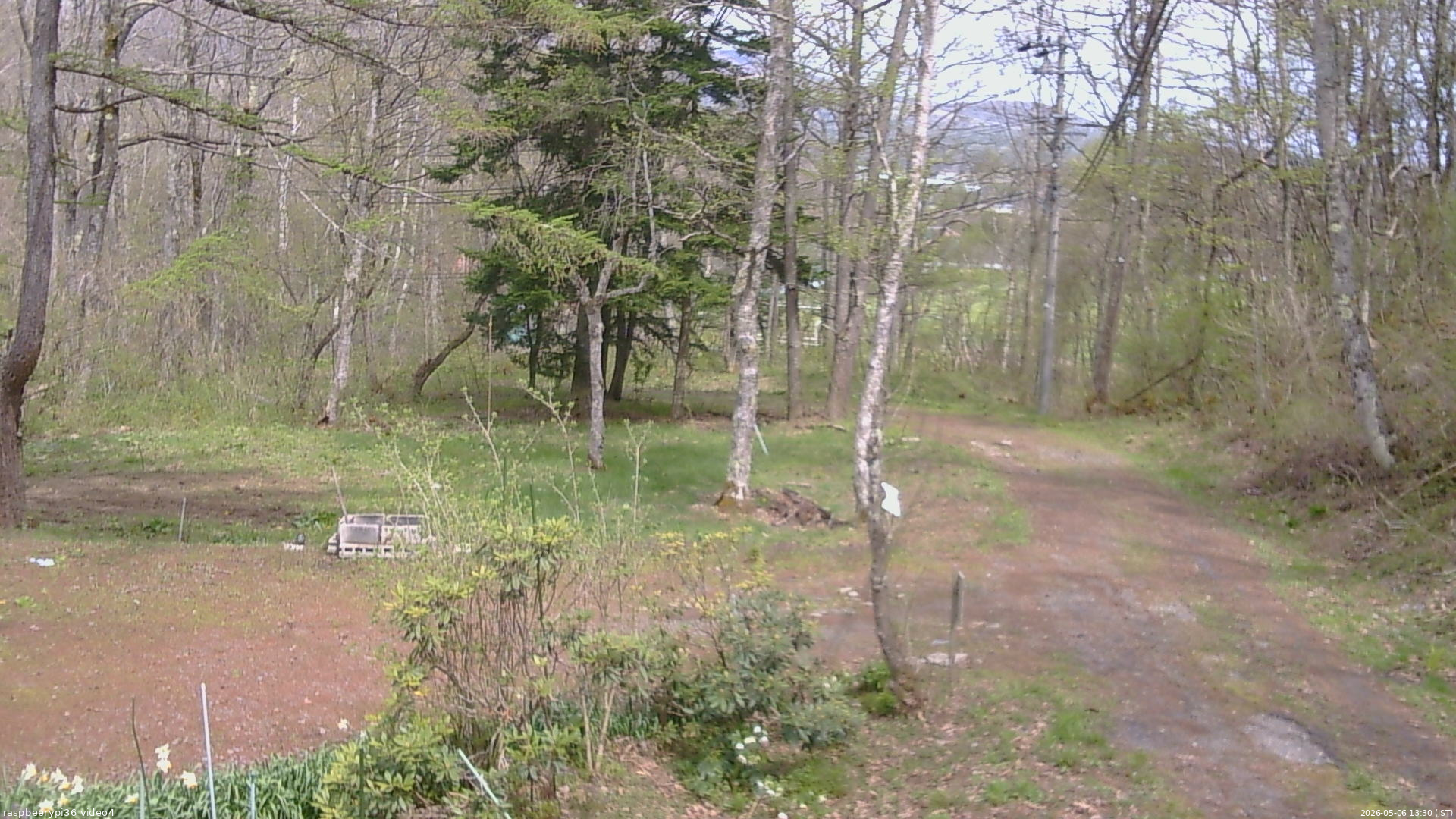 長野県菅平高原 ゆたか山荘 坂上 2026/05/06 13:30