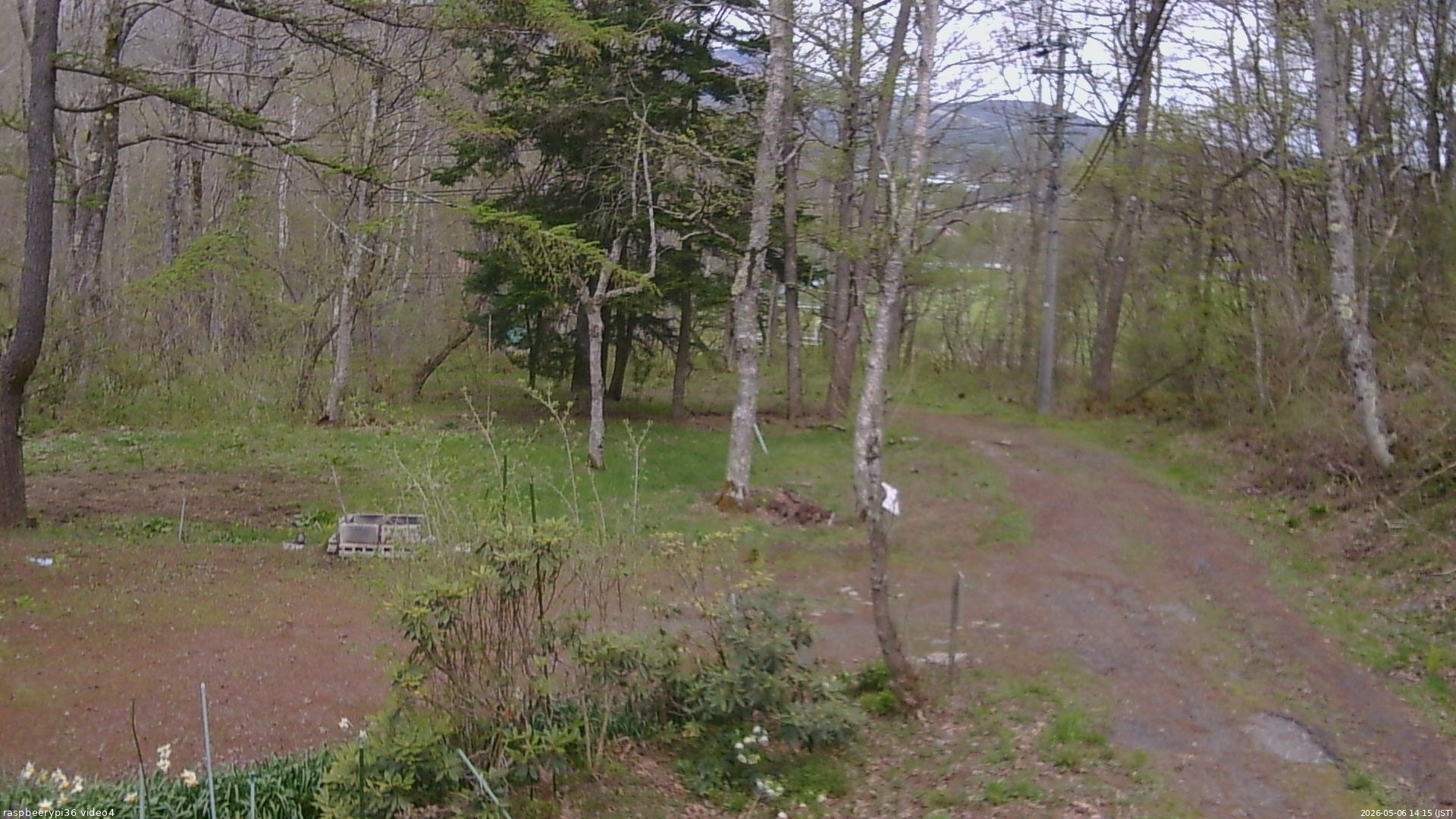 長野県菅平高原 ゆたか山荘 坂上 2026/05/06 14:15