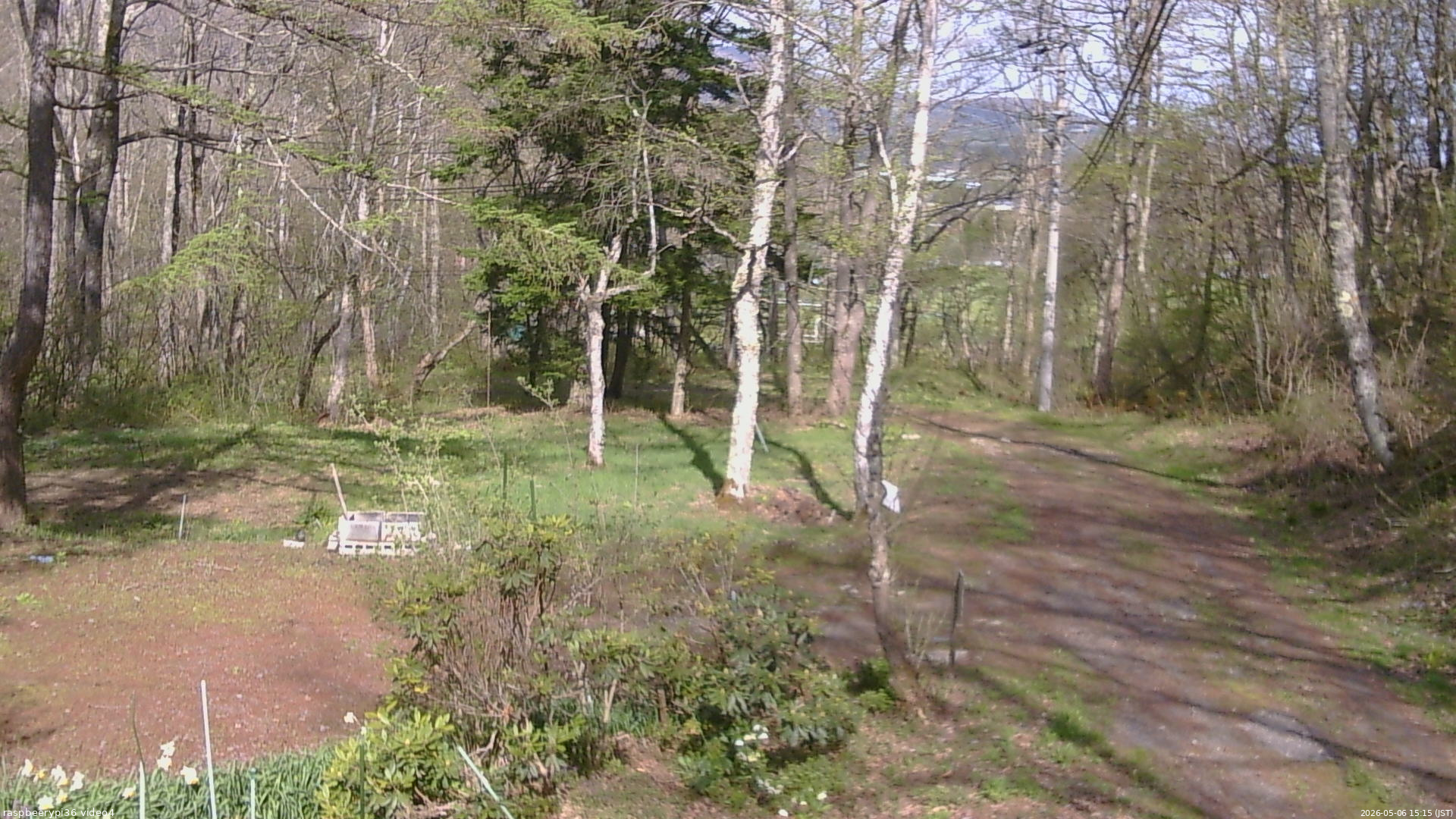 長野県菅平高原 ゆたか山荘 坂上 2026/05/06 15:15