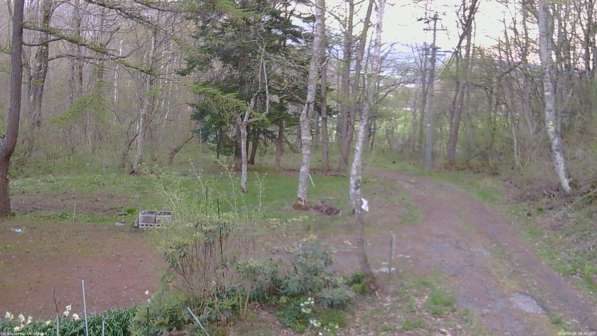 長野県菅平高原 ゆたか山荘 坂上 2026/05/06 18:30