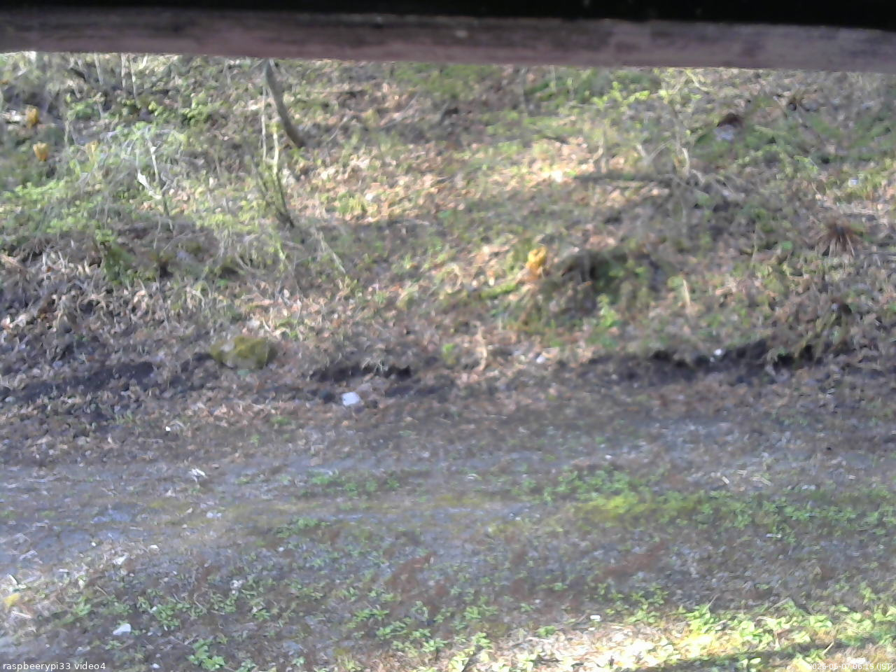 長野県菅平高原 ゆたか山荘 東側(坂下) 2026/05/07 06:15