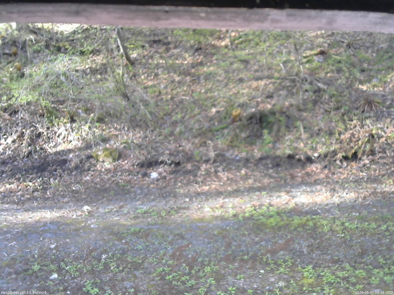 長野県菅平高原 ゆたか山荘 東側(坂下) 2026/05/07 06:30
