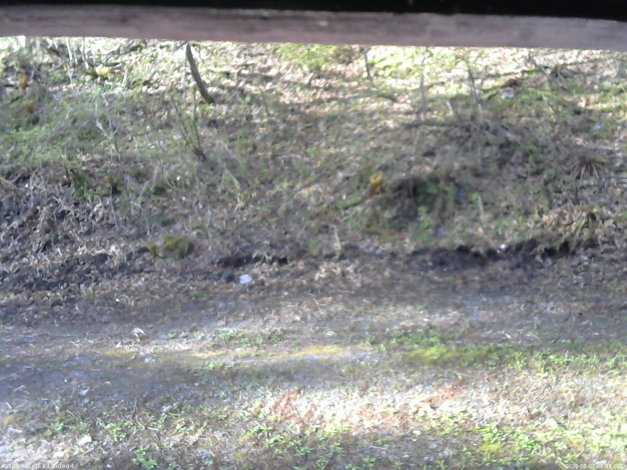 長野県菅平高原 ゆたか山荘 東側(坂下) 2026/05/07 06:45