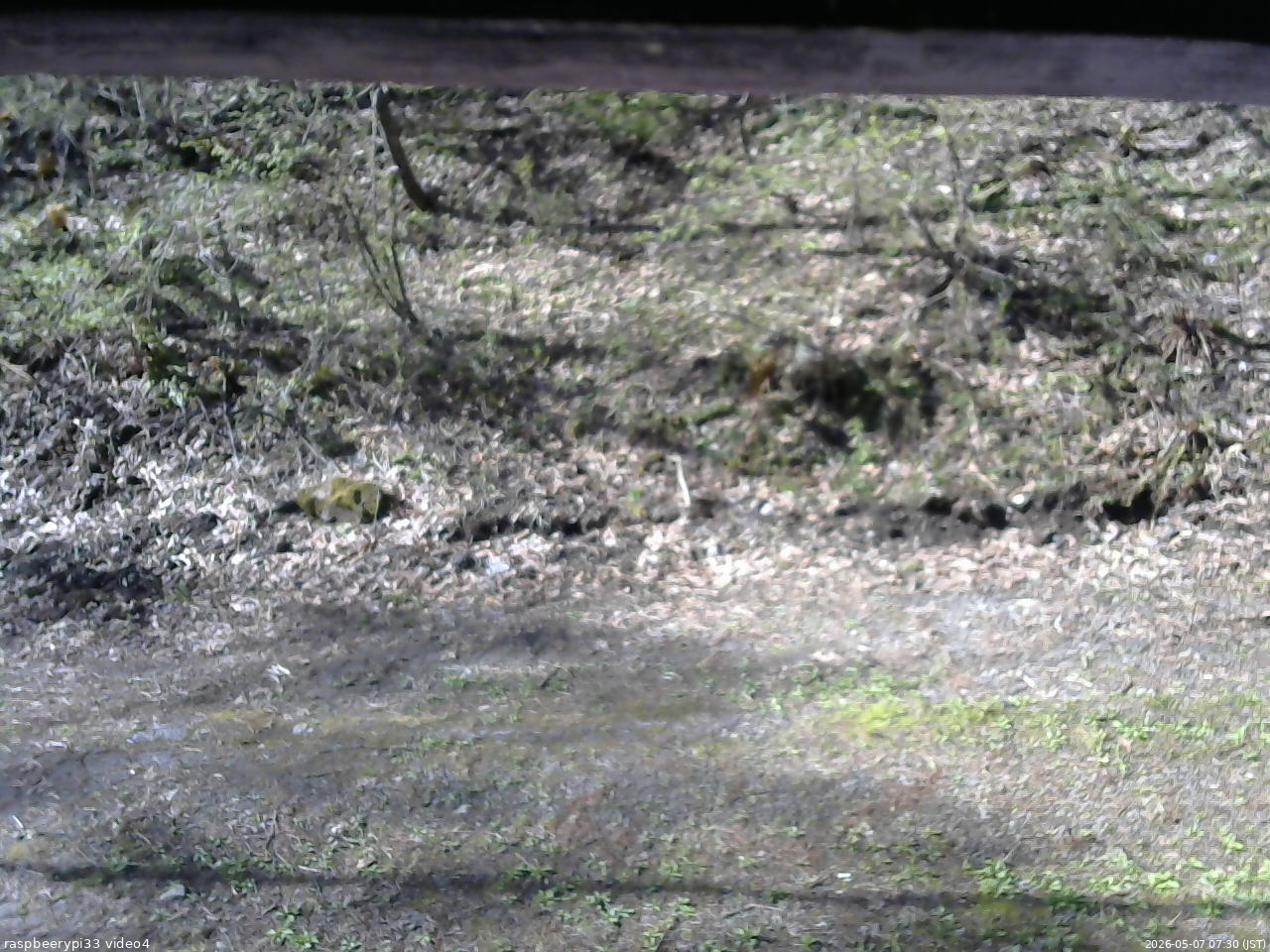 長野県菅平高原 ゆたか山荘 東側(坂下) 2026/05/07 07:30