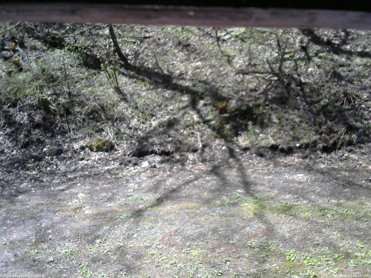 長野県菅平高原 ゆたか山荘 東側(坂下) 2026/05/07 09:15