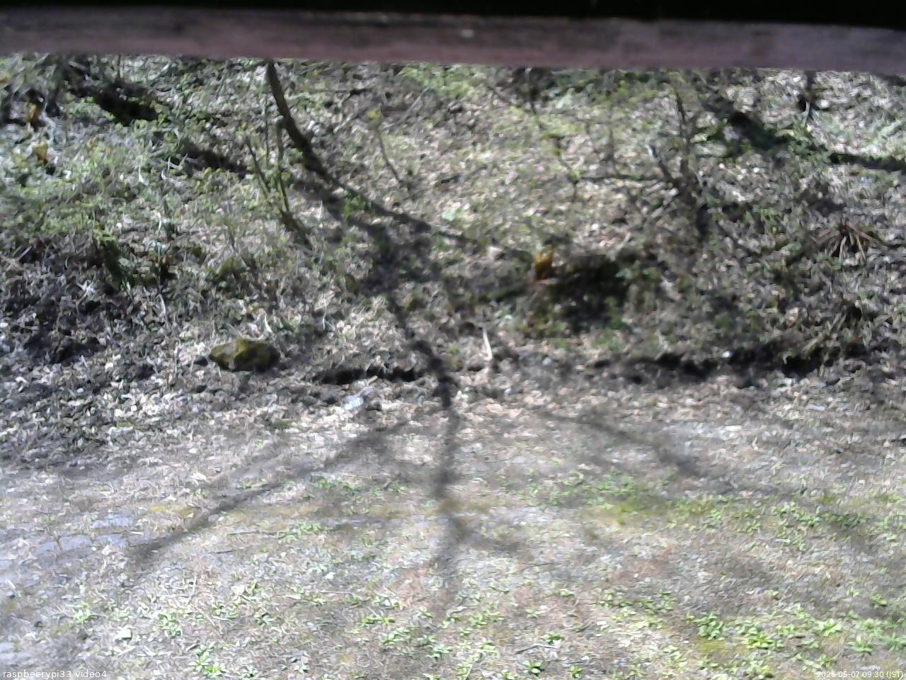 長野県菅平高原 ゆたか山荘 東側(坂下) 2026/05/07 09:30