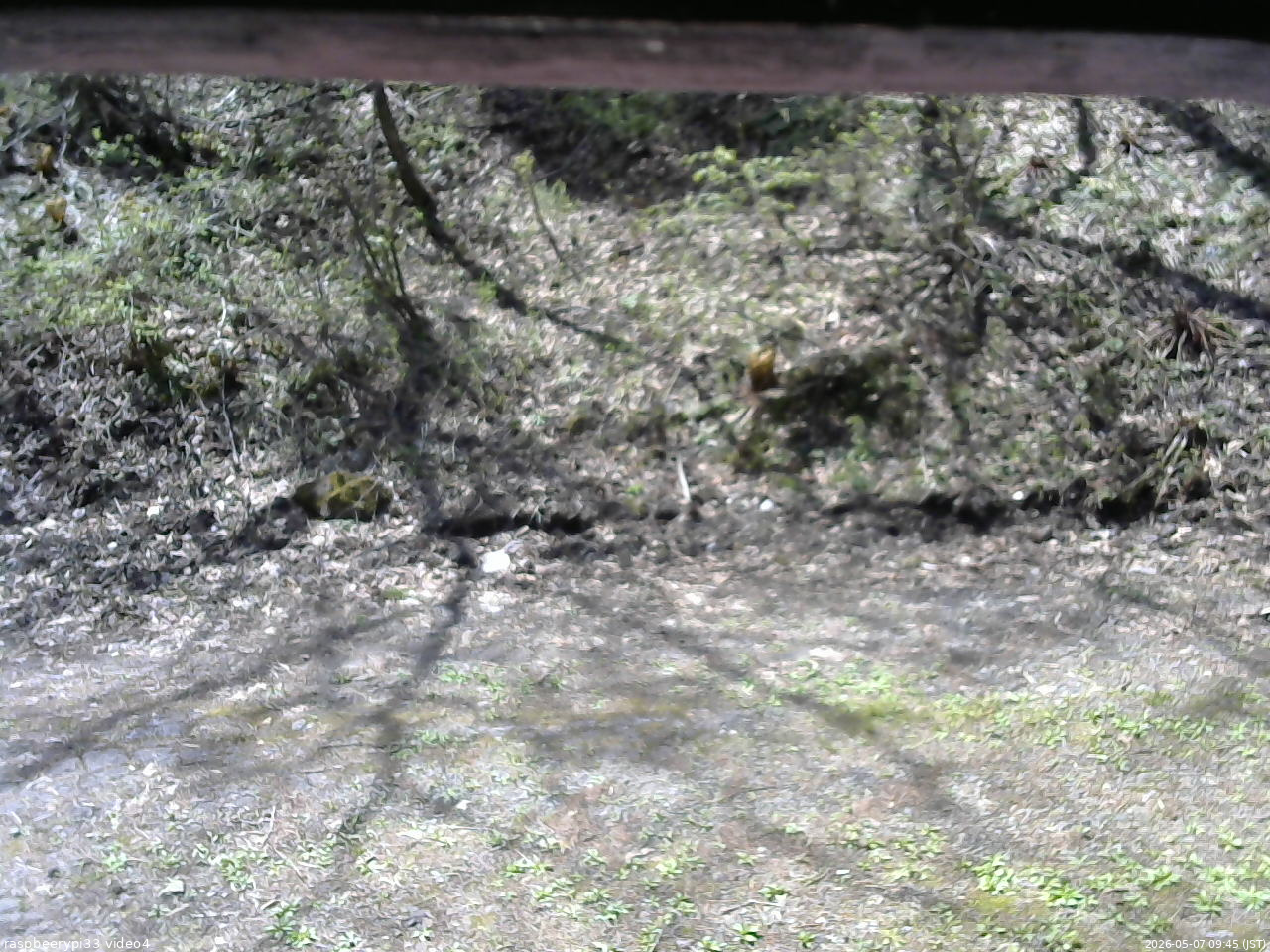 長野県菅平高原 ゆたか山荘 東側(坂下) 2026/05/07 09:45