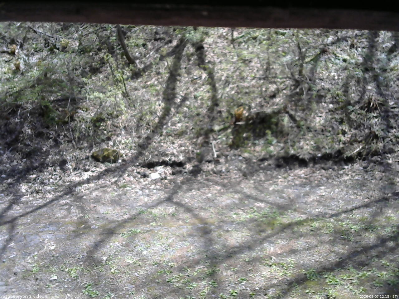 長野県菅平高原 ゆたか山荘 東側(坂下) 2026/05/07 12:15