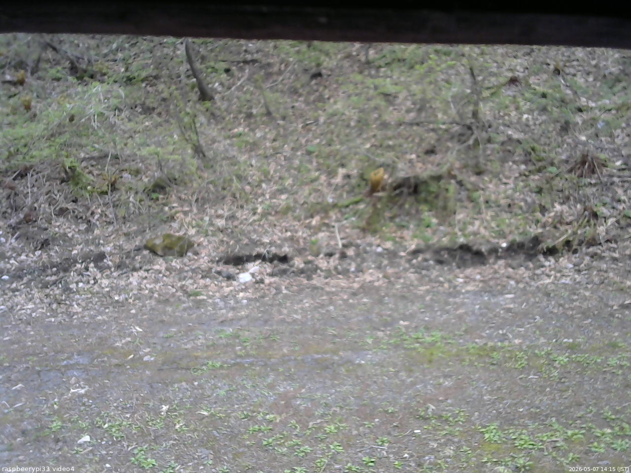 長野県菅平高原 ゆたか山荘 東側(坂下) 2026/05/07 14:15