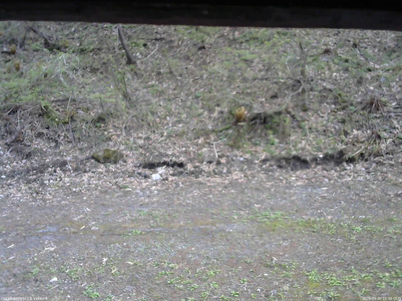 長野県菅平高原 ゆたか山荘 東側(坂下) 2026/05/07 15:30