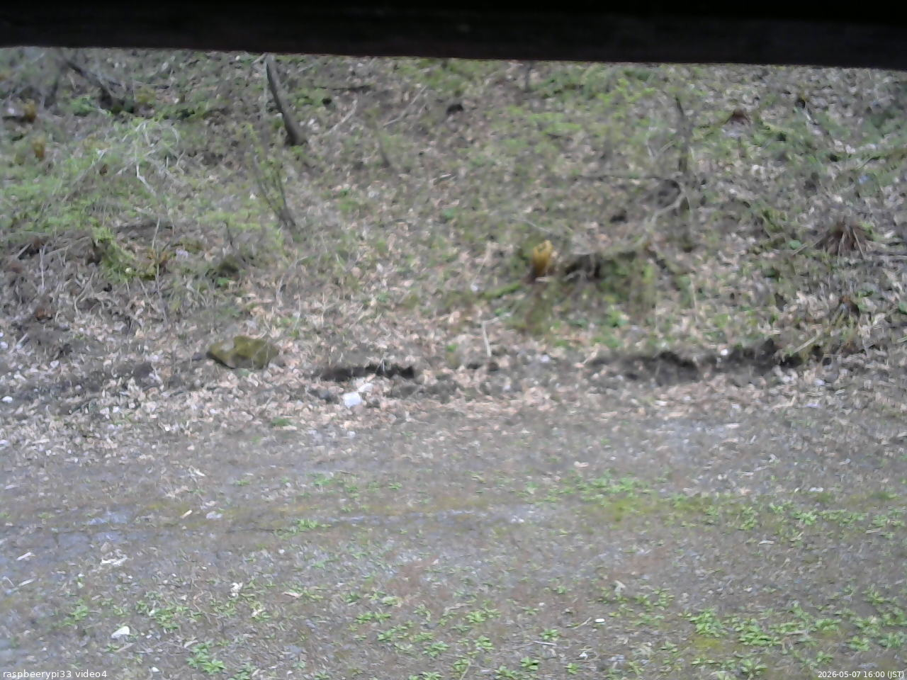 長野県菅平高原 ゆたか山荘 東側(坂下) 2026/05/07 16:00