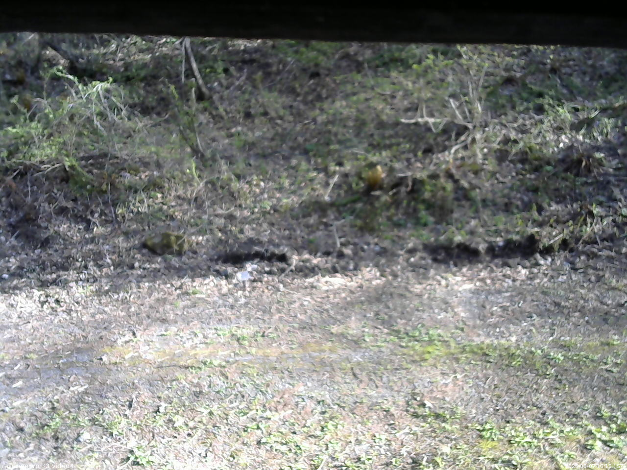 長野県菅平高原 ゆたか山荘 東側(坂下) 2026/05/07 16:15