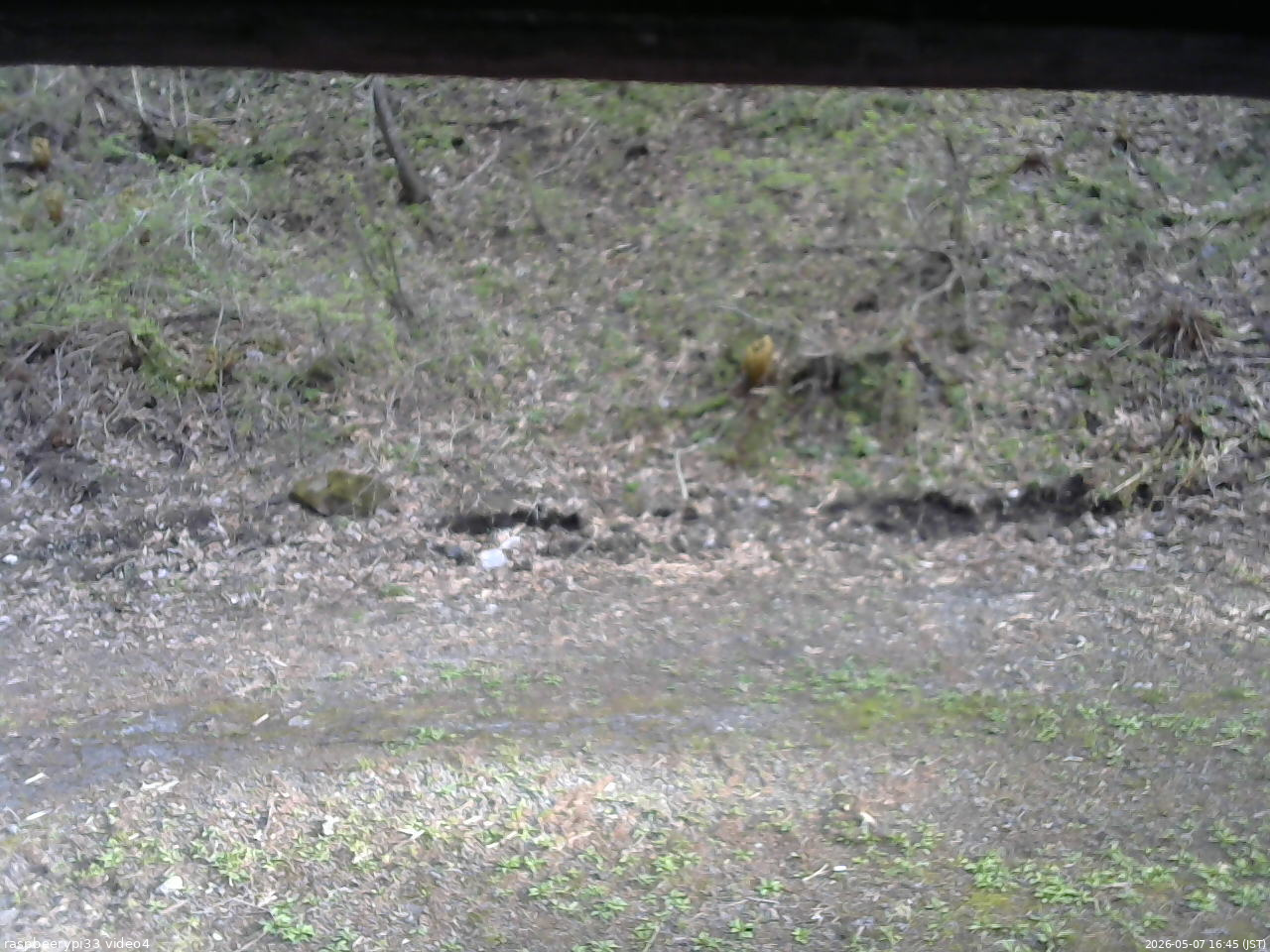 長野県菅平高原 ゆたか山荘 東側(坂下) 2026/05/07 16:45