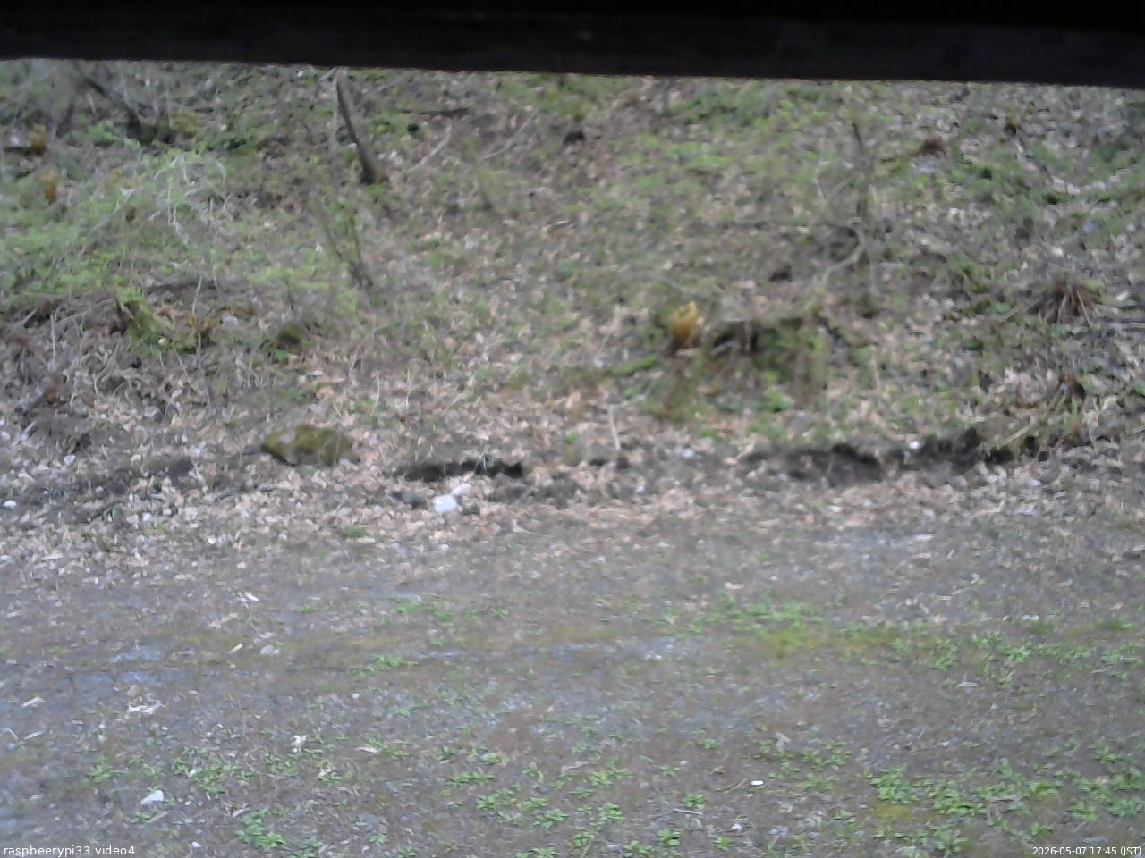 長野県菅平高原 ゆたか山荘 東側(坂下) 2026/05/07 17:45
