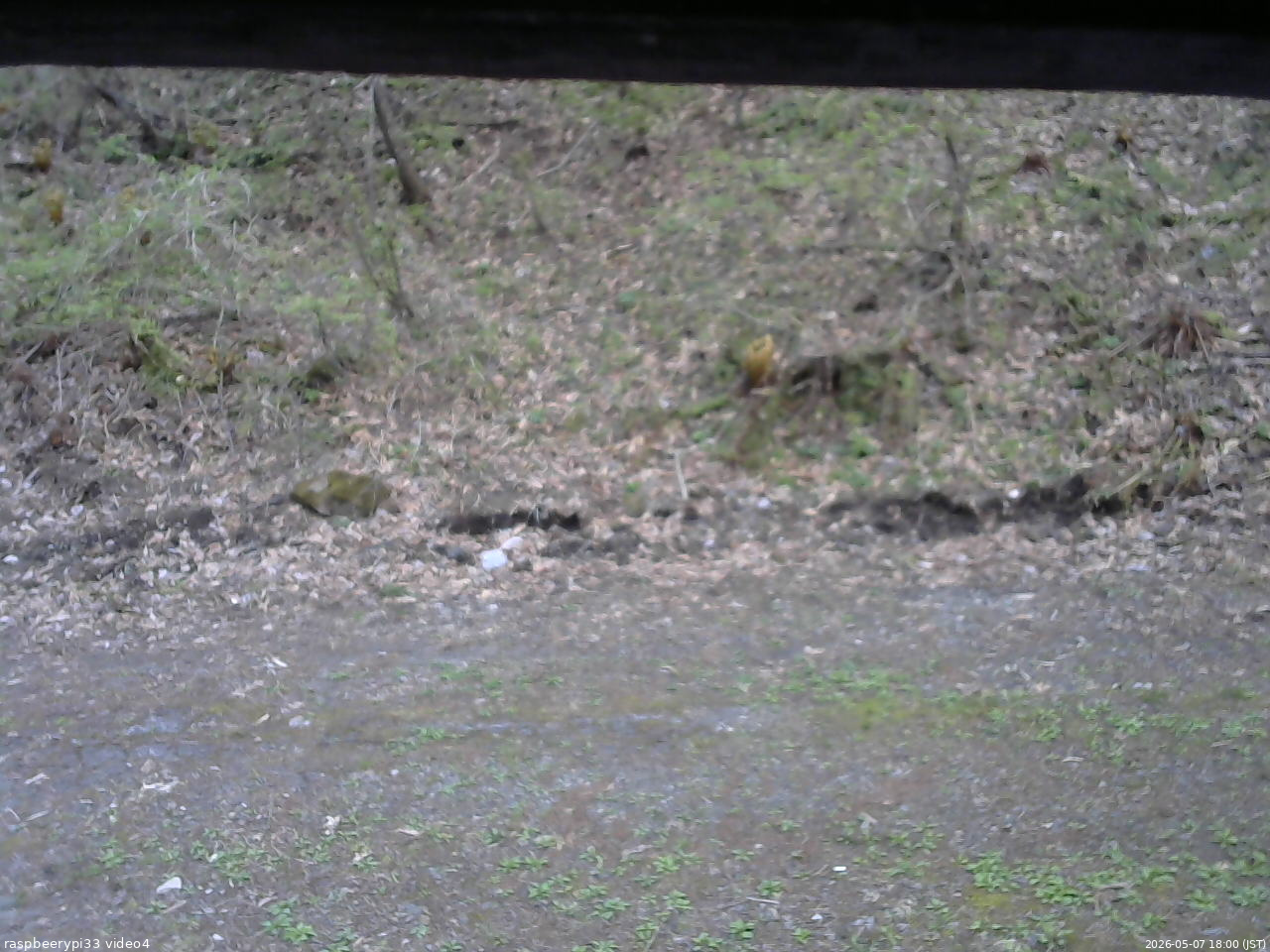 長野県菅平高原 ゆたか山荘 東側(坂下) 2026/05/07 18:00