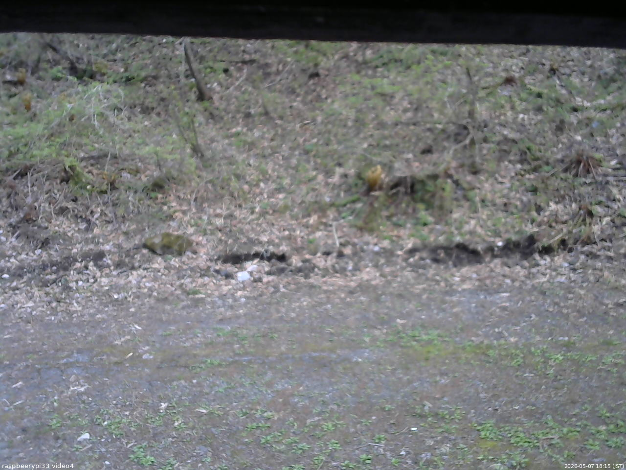 長野県菅平高原 ゆたか山荘 東側(坂下) 2026/05/07 18:15
