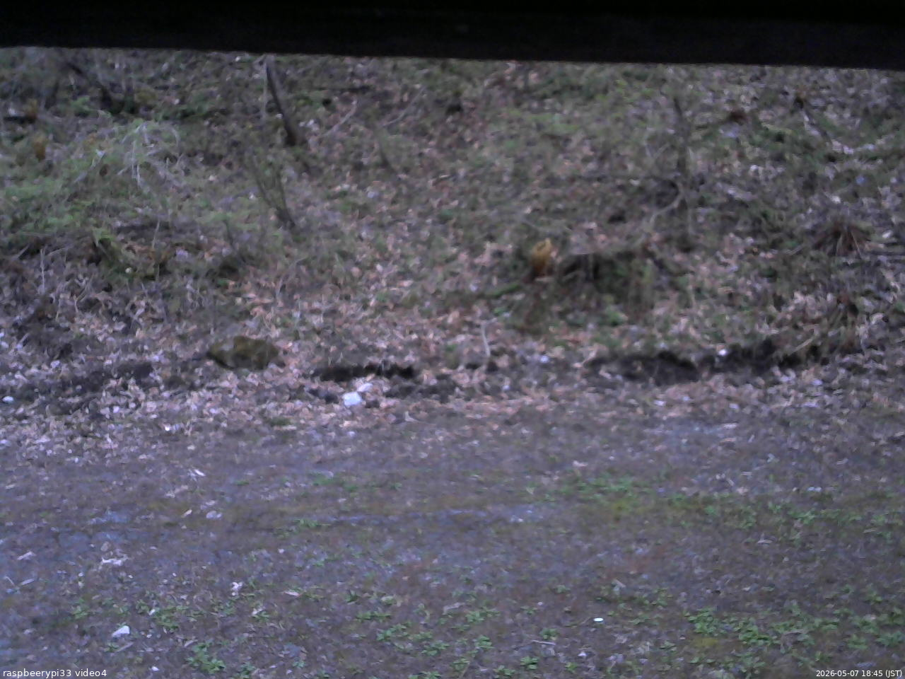 長野県菅平高原 ゆたか山荘 東側(坂下) 2026/05/07 18:45