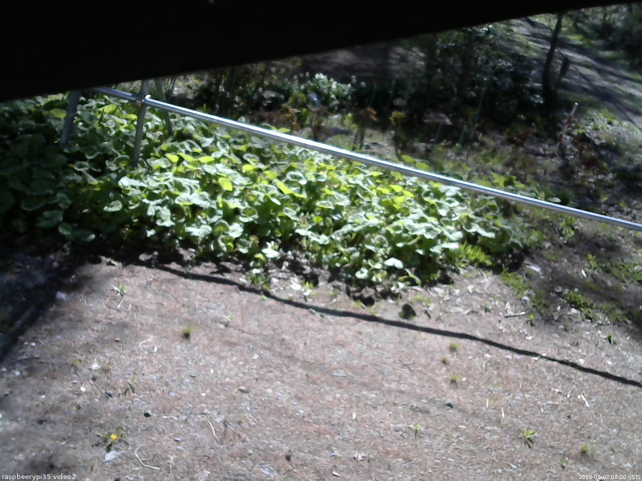 長野県菅平高原 ゆたか山荘 駐車場 2026/05/07 08:00