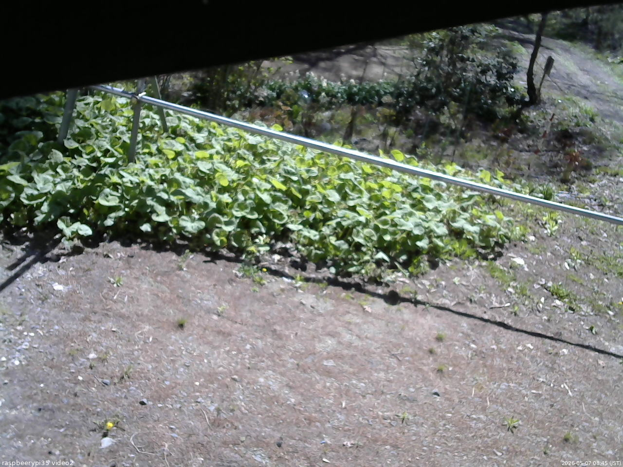 長野県菅平高原 ゆたか山荘 駐車場 2026/05/07 08:45