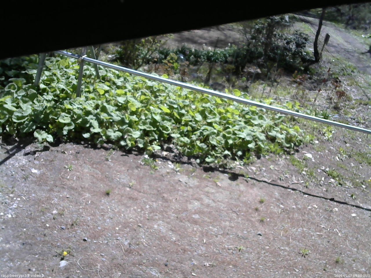 長野県菅平高原 ゆたか山荘 駐車場 2026/05/07 09:00