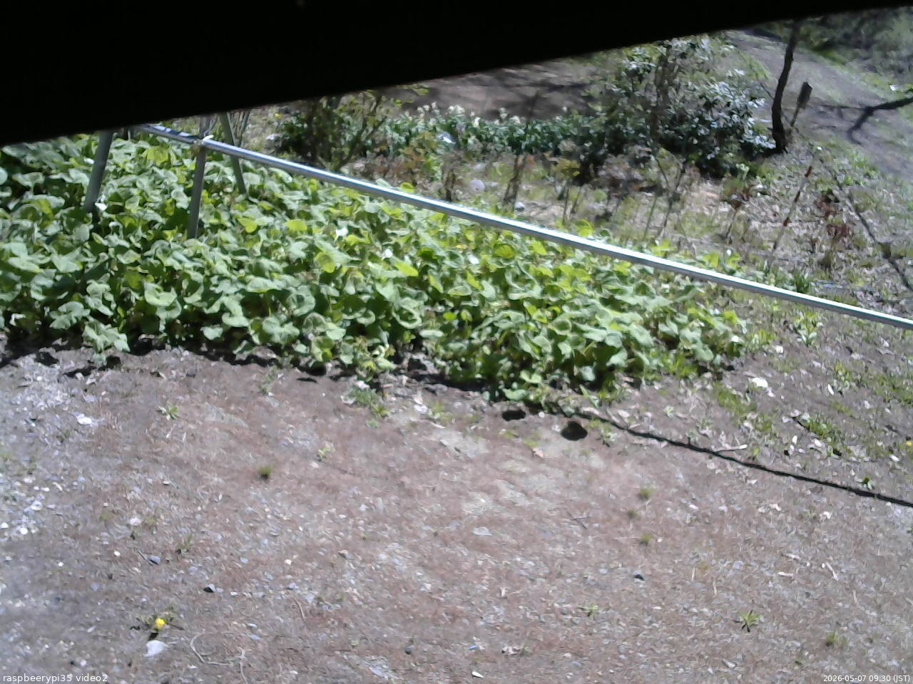 長野県菅平高原 ゆたか山荘 駐車場 2026/05/07 09:30