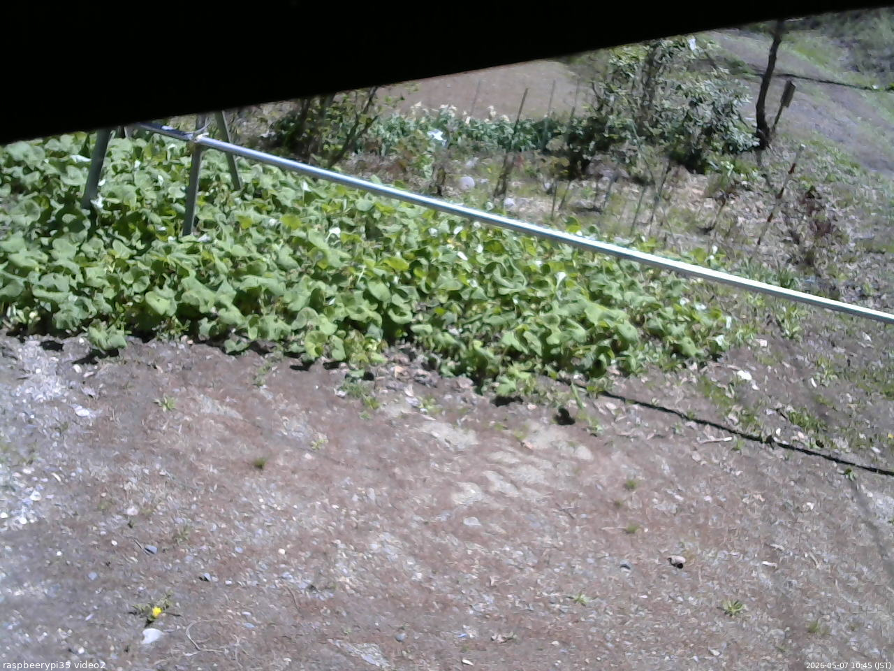 長野県菅平高原 ゆたか山荘 駐車場 2026/05/07 10:45