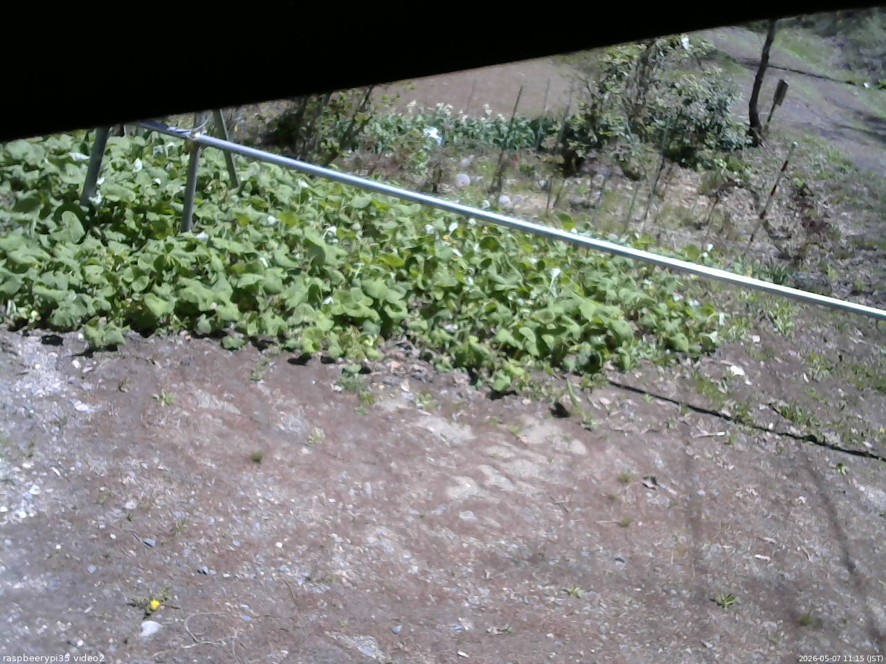 長野県菅平高原 ゆたか山荘 駐車場 2026/05/07 11:15
