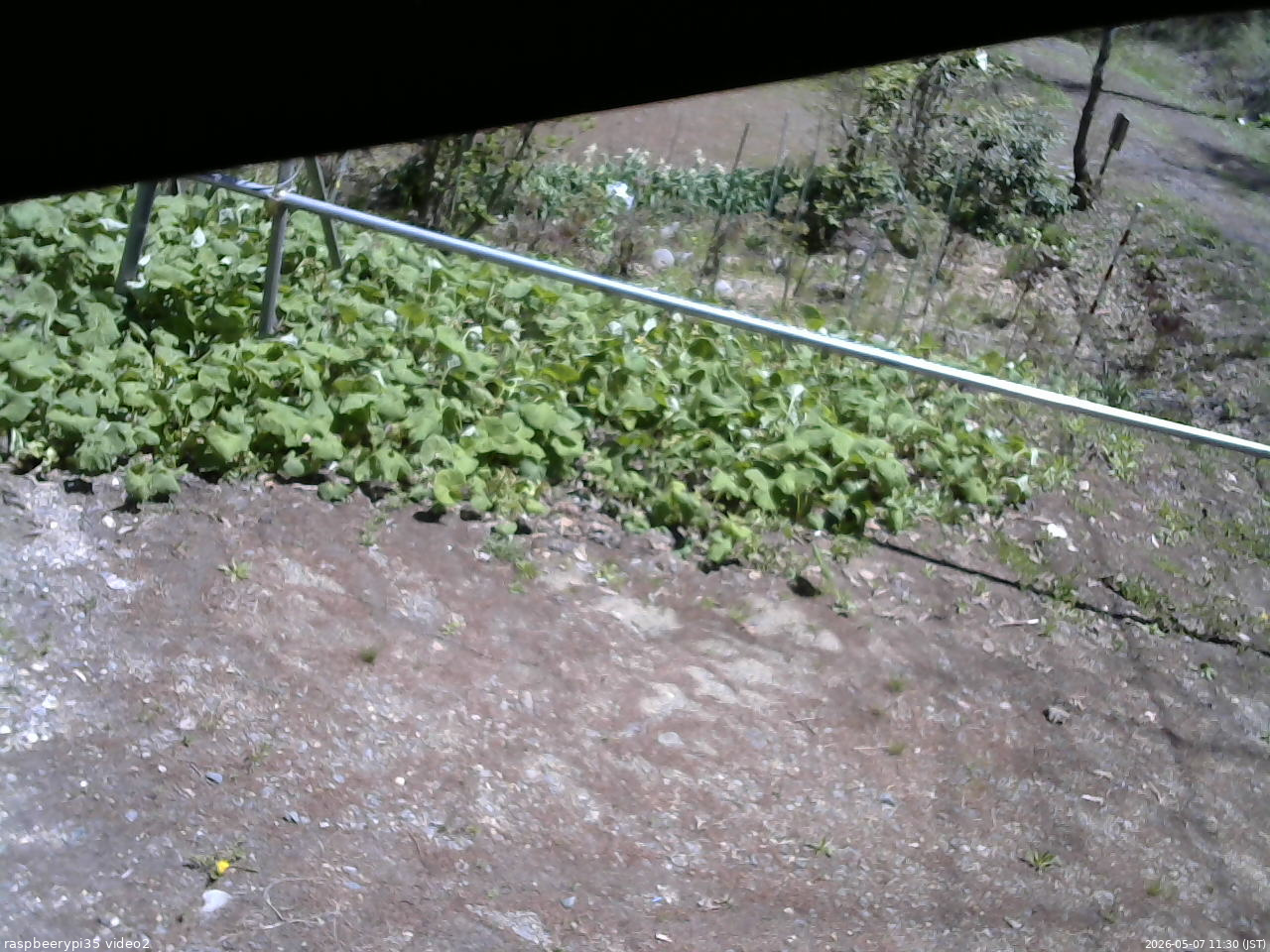 長野県菅平高原 ゆたか山荘 駐車場 2026/05/07 11:30