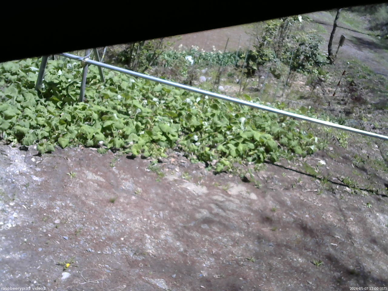 長野県菅平高原 ゆたか山荘 駐車場 2026/05/07 12:00