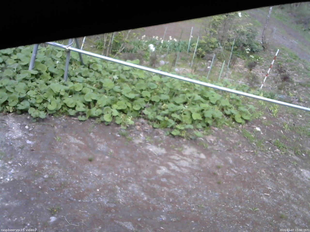 長野県菅平高原 ゆたか山荘 駐車場 2026/05/07 15:30