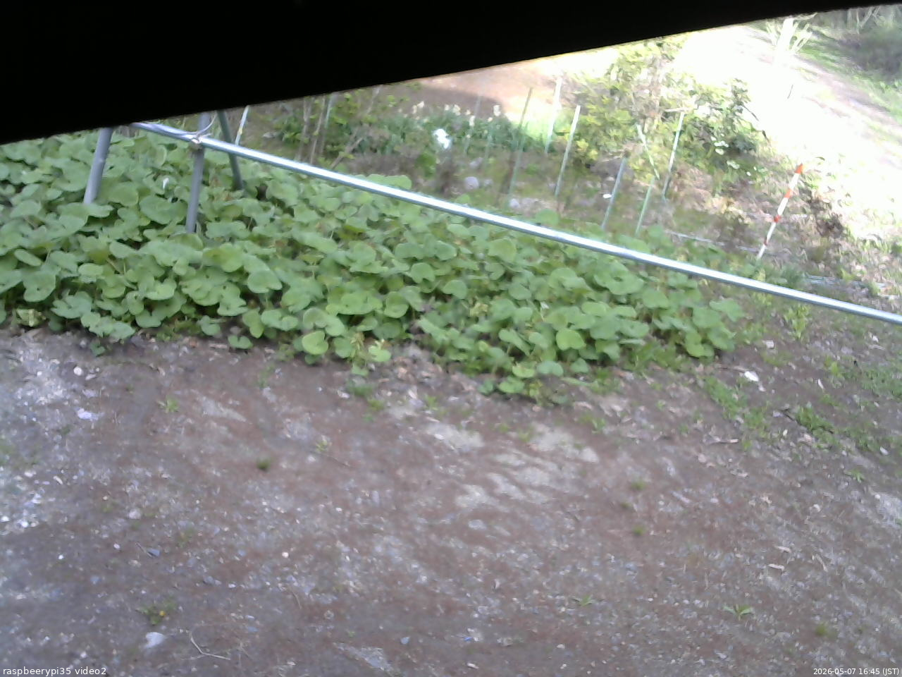 長野県菅平高原 ゆたか山荘 駐車場 2026/05/07 16:45