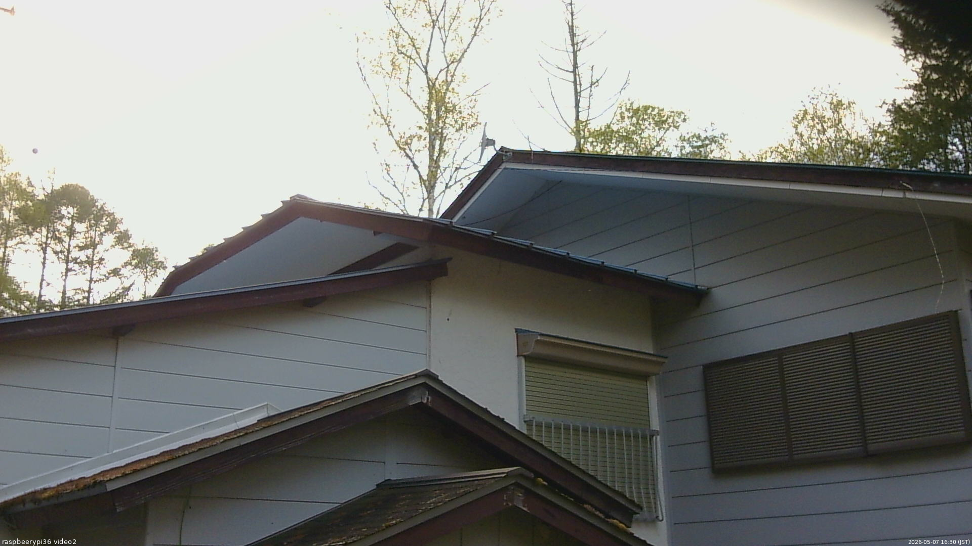 長野県菅平高原 ゆたか山荘 駐車場奥 2026/05/07 16:30