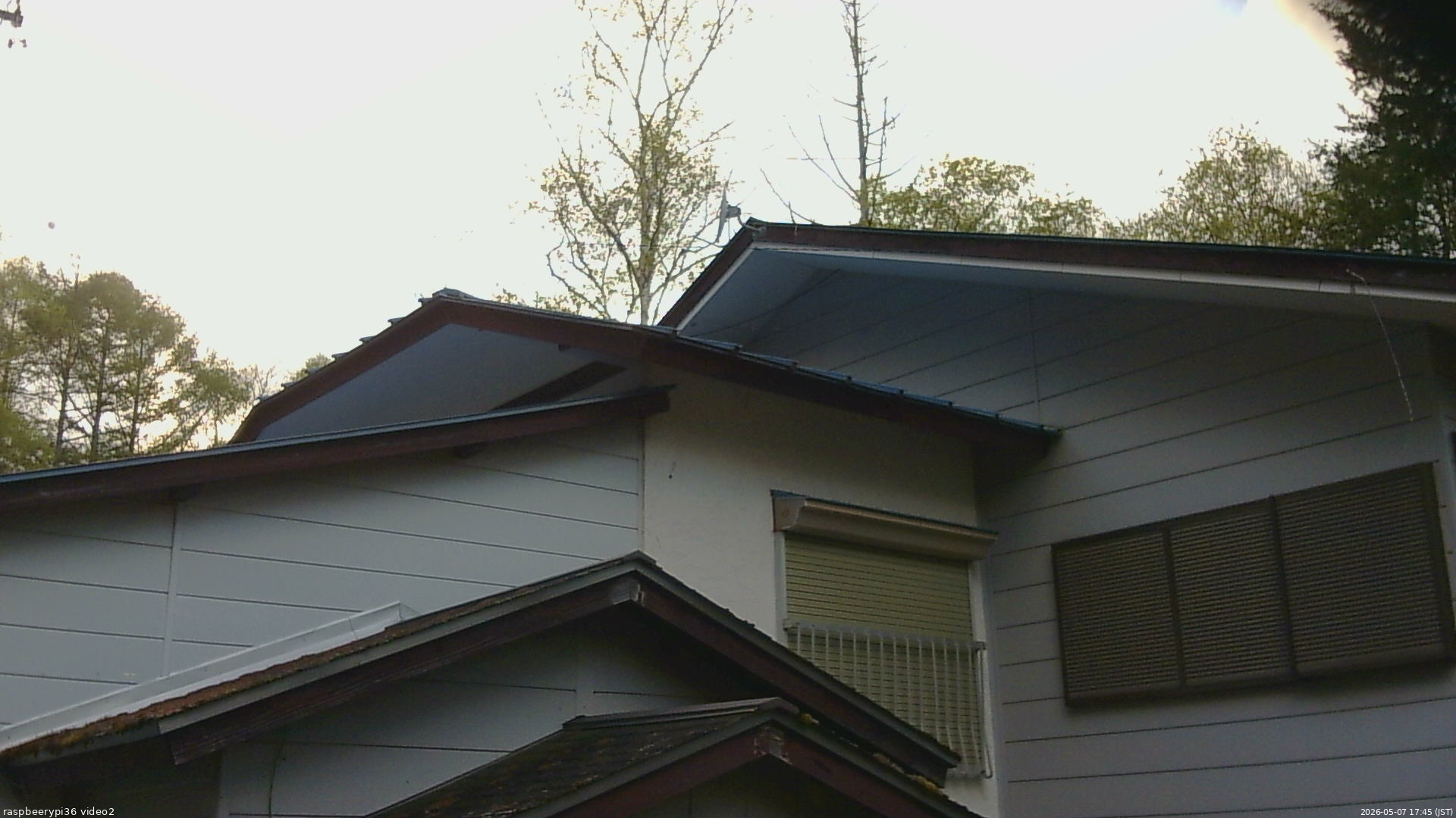 長野県菅平高原 ゆたか山荘 駐車場奥 2026/05/07 17:45